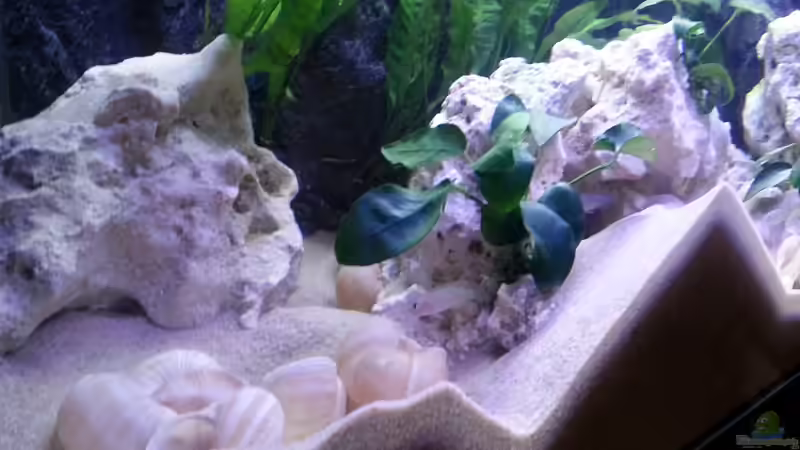 Die Umbauarbeiten der Multis schreiten unaufhörlich voran! :) von Daniel Kastner (16)