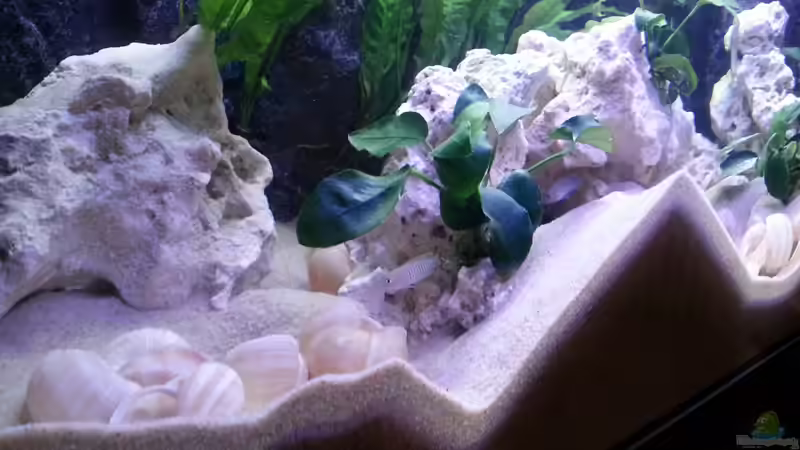 Die Umbauarbeiten der Multis schreiten unaufhörlich voran! :) von Daniel Kastner (17)