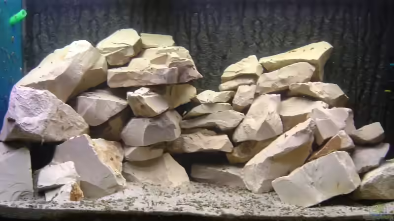 Die urspüngliche Planung der Steinaufbauten. Auch noch ohne Algenbewuchs. von Tom (6)