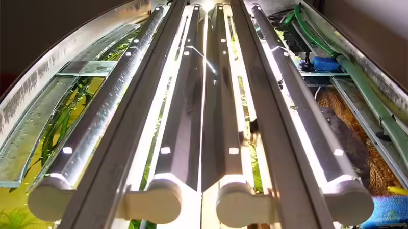 die uvc lampe wird bei bedarf angesteuert von Carsten Bobe (5)