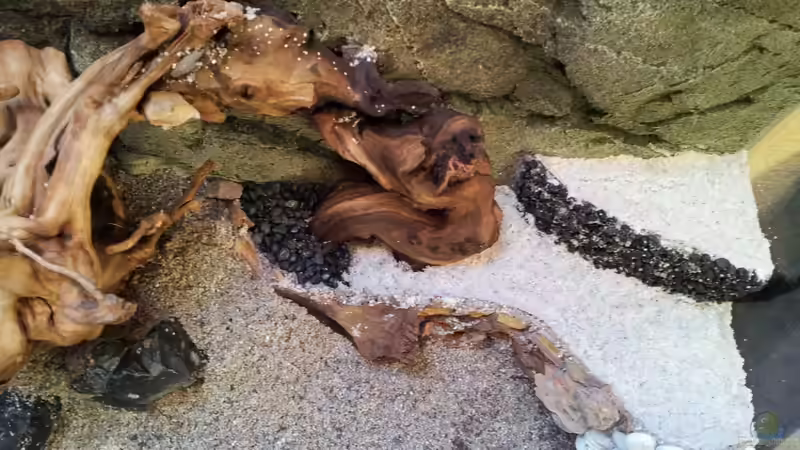 Die verschiedenen Ebenen und die Wurzel von Kerstin Rünagel (5)