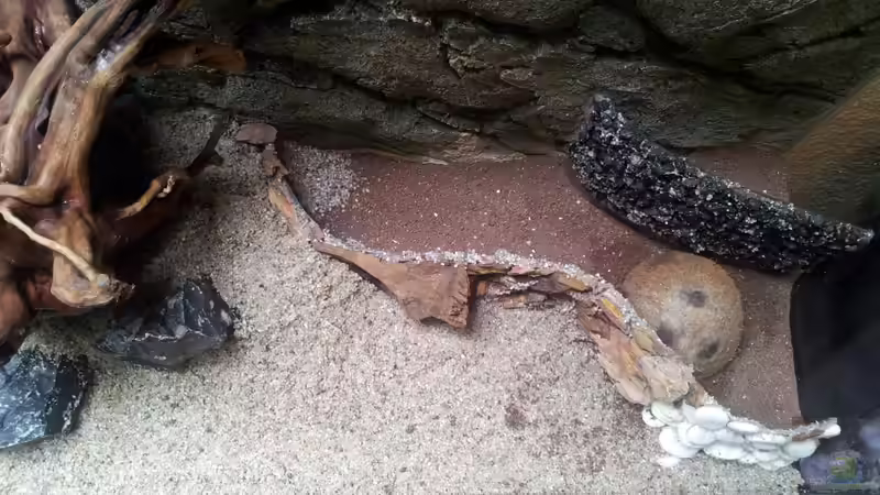 Die versteckte H6hle von Kerstin Rünagel (3)