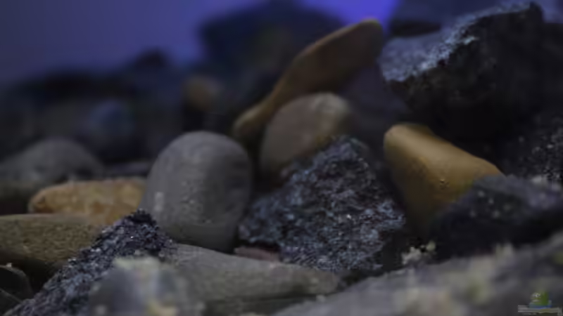 die verwendeten Steine von Falk (8)