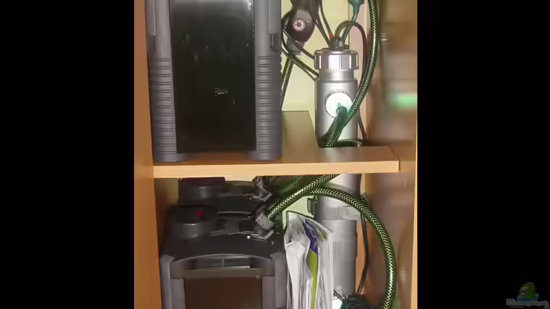 Die vier Eheim in Serie, der 36 Watt UV-C Klärer und der Durchlaufheizer von The_Lizardking (12)