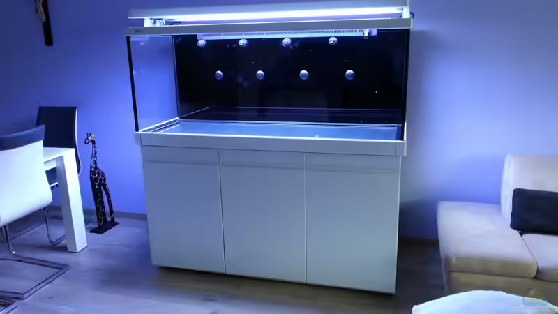 Die Vorderansicht ! von urbi (7)