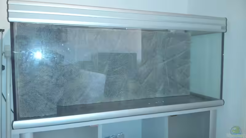 Die Wand passt, es fehlt noch die Versiegelung. von Patrick Scheffer (17)