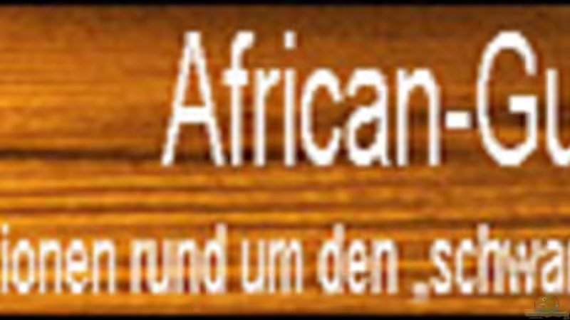 Die Webseite ( www.african-guru.de ), zum Thema Afrika und die Unterwasserwelten!! von Florian Bandhauer (2)