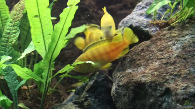 Die Weiber beim Lästern - wie im richtigen Leben....:-) von Philosoph (48)