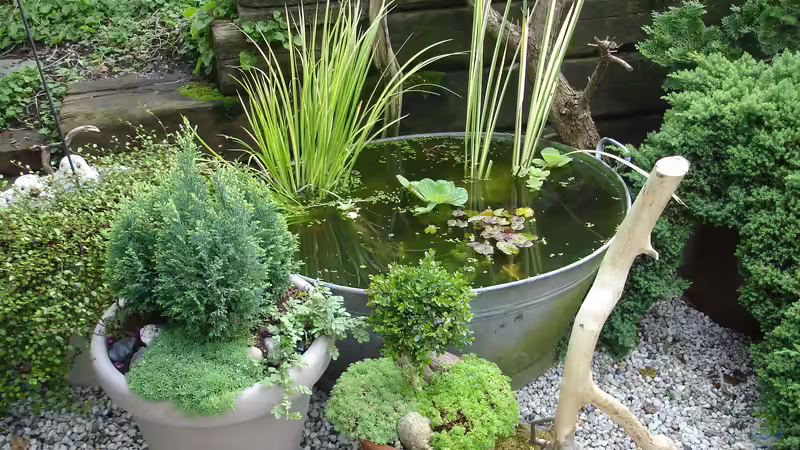 die Zinkbadewannen Sommer 2016 von Grünhexe (6)