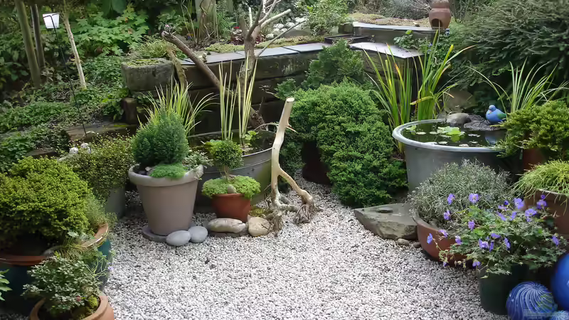 die Zinkbottich Ecke im Sommer 2016 von Grünhexe (7)