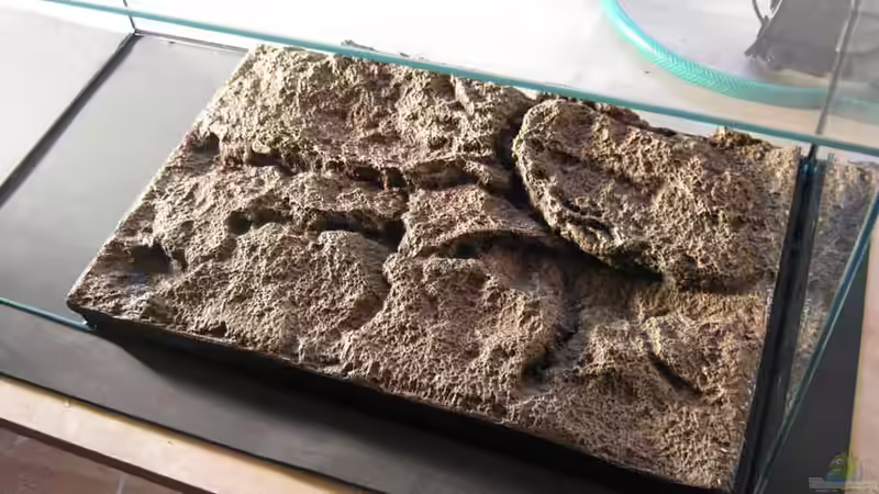 Die zugeschnittene Rückwand von pekro (3)