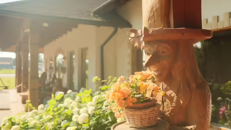 Die zweite Blüte - So bringen viele Pflanzen im Sommer noch einmal Farbe in den Garten