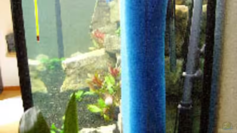 die zweite matte ist noch nicht fixiert. von Carsten Bobe (6)