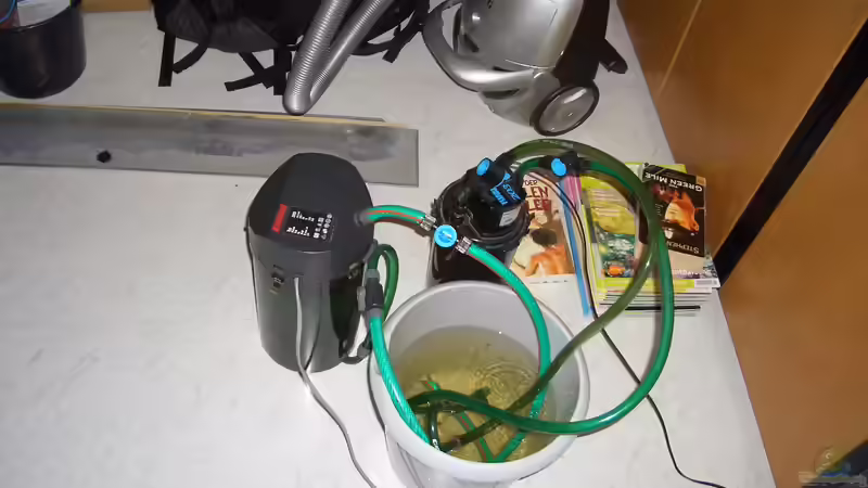 Dier Filter laufen paralell während des Aufbaus von Knorpelfisch (5)