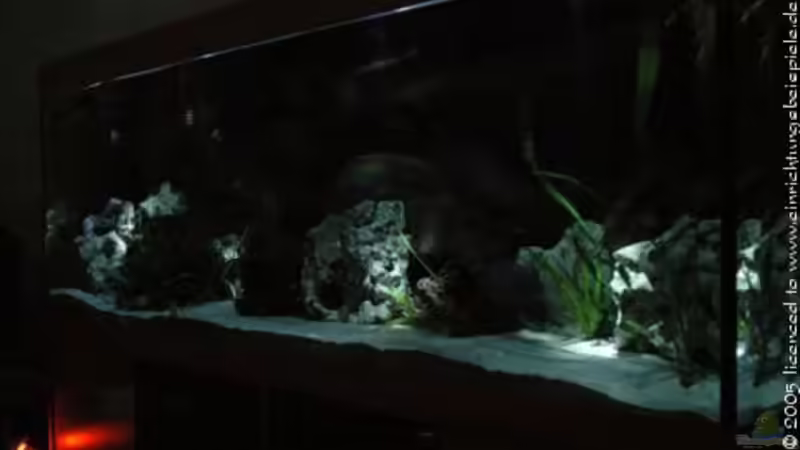 Diese Bild hatt mir abbi (RedSun28) zu verfügung gestellt von Manfred Herget (7)