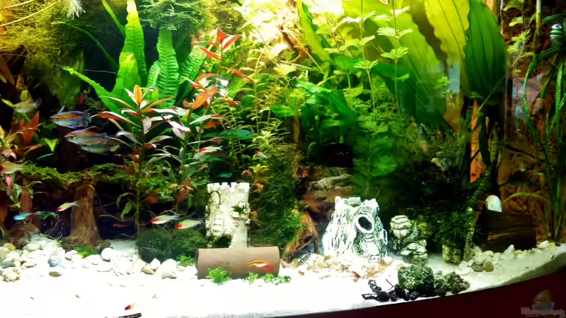 diesen Rapunzel-Turm hat unsere Tochter getöpfert !!!! von Thomas Müller (46)