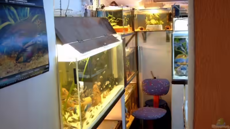 Dieser Teil wurde neu gestaltet, 4 Aquarien wurden entfernt. von Helgo Jacob (5)