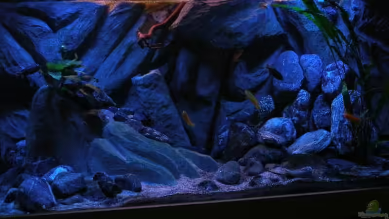 Dieses Bild stammt vom 11.02.2011 von Marco O. (60)