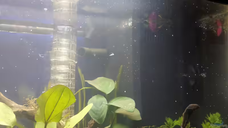 Diffusor (Taifun), Filter, PH Sensor und Thermometer von Wall-E (19)