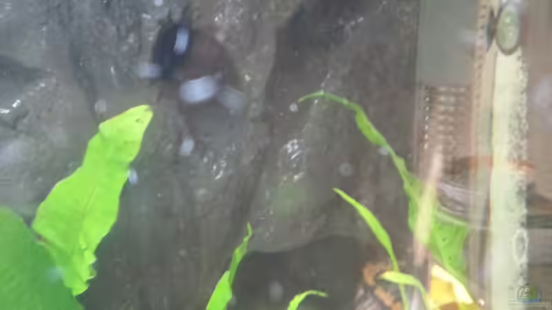 Diffusor und Heizung von KaZe (20)