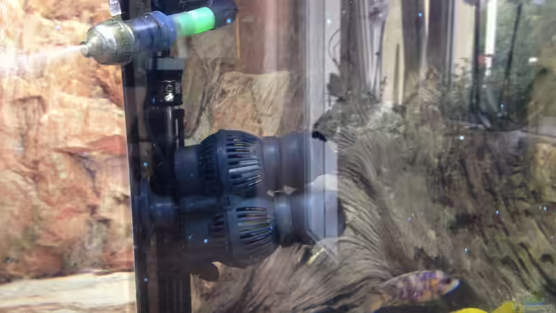 Diffusor und Strömungspumpe von Alexander Mayer (23)