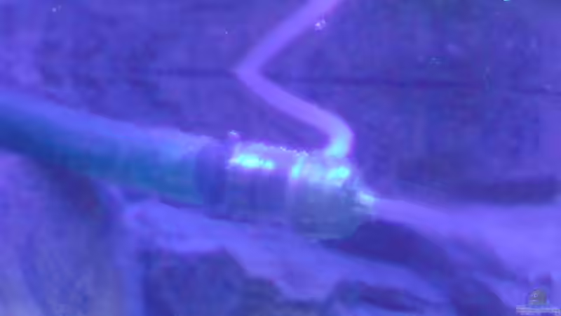 Diffusor von Eheim für einen guten Sauerstoffgehalt im Wasser! von FinalDragon (18)