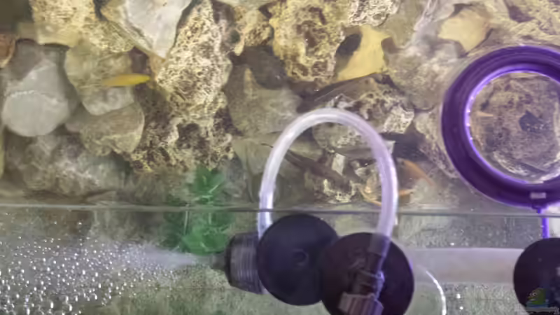 Diffusor von oben von Thomas Riemenschneider (23)