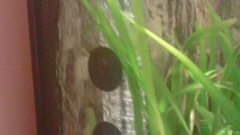 Diffusor von Rainbowfan (24)