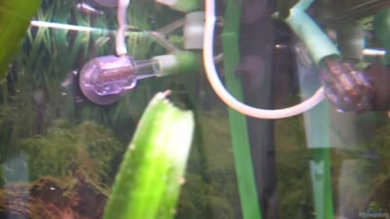 Diffusoren von Samson (7)