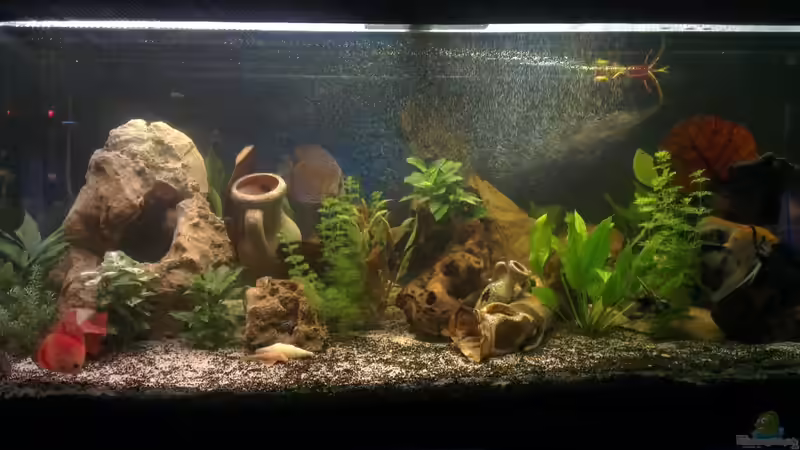 difussor läuft von Franz Napf (8)