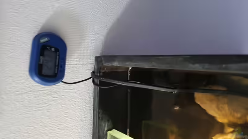 Digital Thermometer  von Thomas0902 (37)