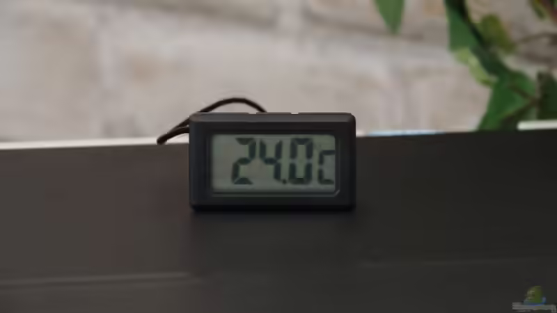 Digital-Thermometer von Herr H. (24)