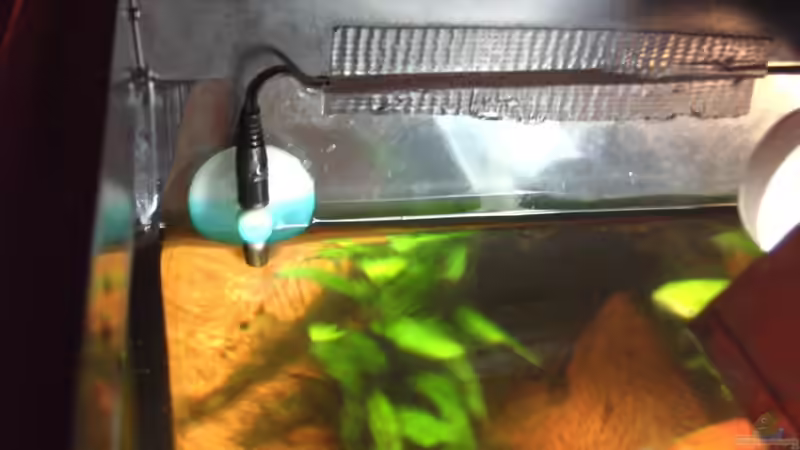 digitales Termomether (im Becken) von Opodeldok (26)