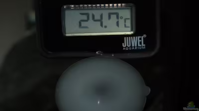 digitales Thermometer  von Bbert (14)