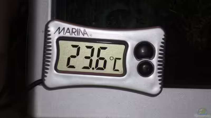 digitales Thermometer von Malawi TOM (37)