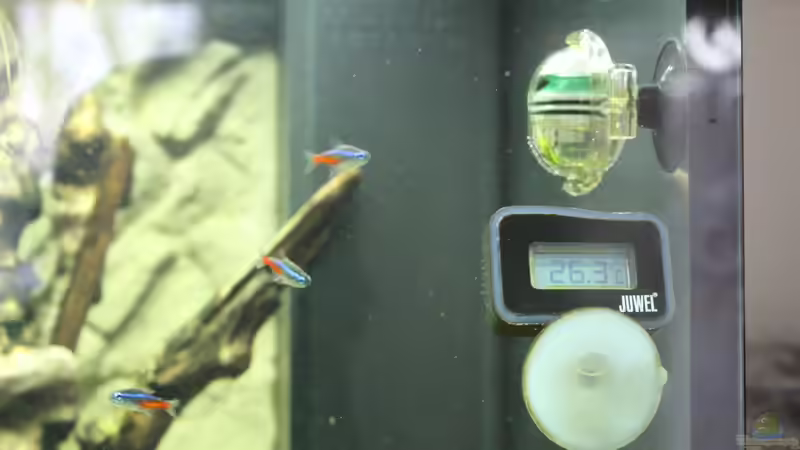 Digitalthermometer und Langzeittest CO2 von spektukal (19)