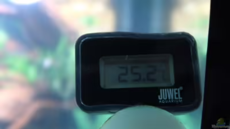 Digitalthermometer von ernst11 (35)