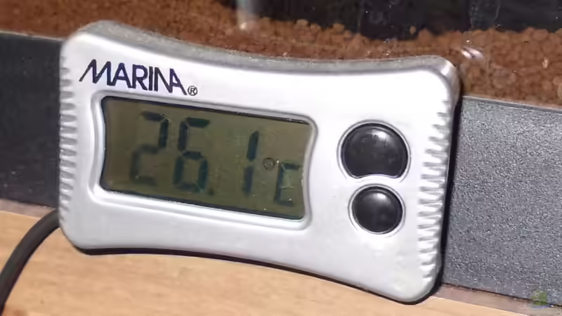 Digitalthermometer von Koehler (33)