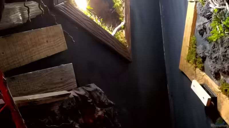 Diorama von unten von Bermuda 3eck (32)