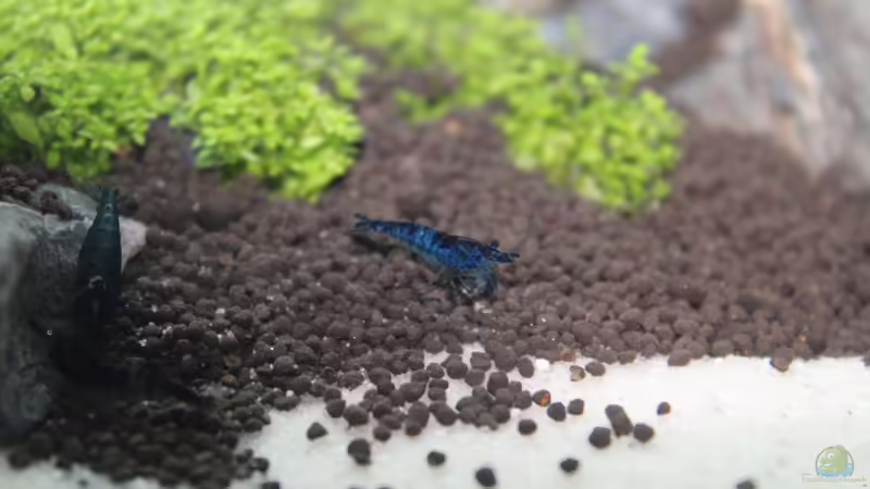 Direkt bei der Arbeit von X-Rayminator (33)