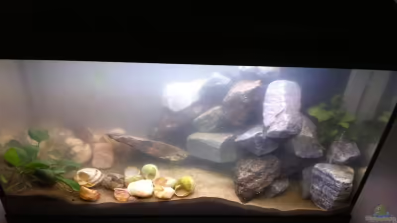 Direkt nach dem Befüllen..  von Exotist (12)