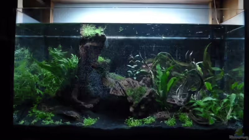 direkt nach dem Befüllen von Annika (10)