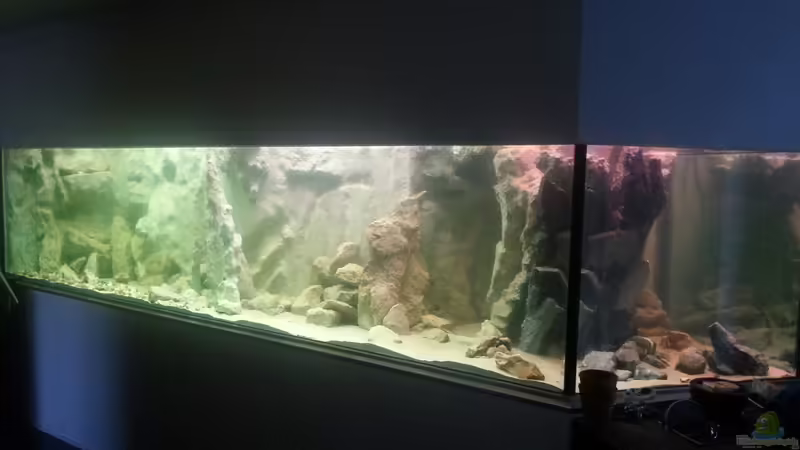 Direkt nach dem Befüllen von Dirk Beßler (1)