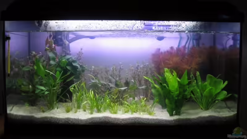 Direkt nach dem Einrichten von Sascha Bötzel (2)