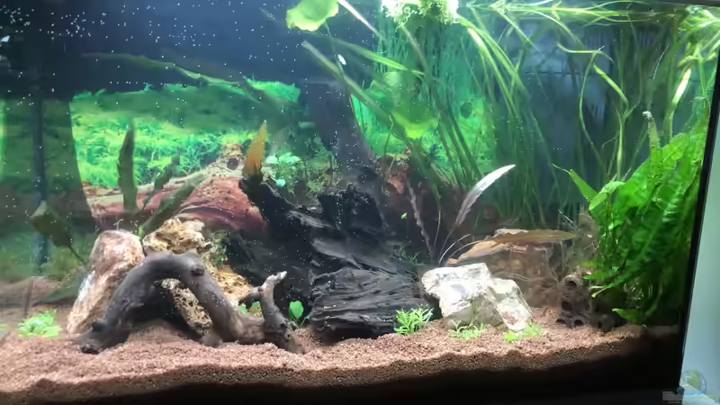 Direkt nach dem Einrichten von TR (8)