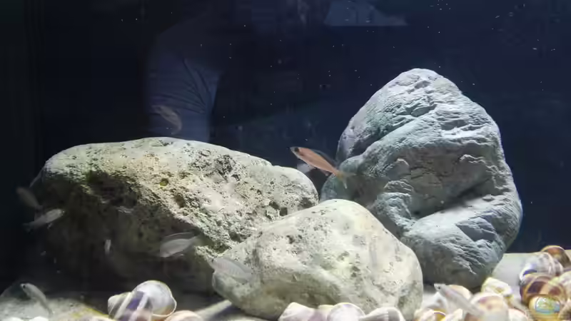 Direkt nach dem Einsetzen von Tom (7)