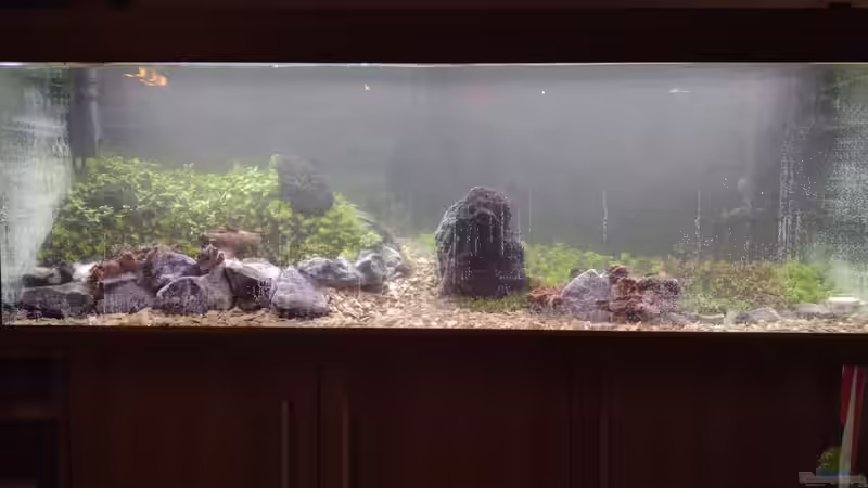 direkt nach der Bepflanzung v. 28.12.2023 von C-NA (15)