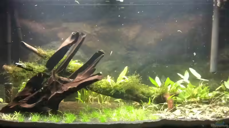 Direkt nach der Einrichtung [Handyfoto] von RodSnase (2)