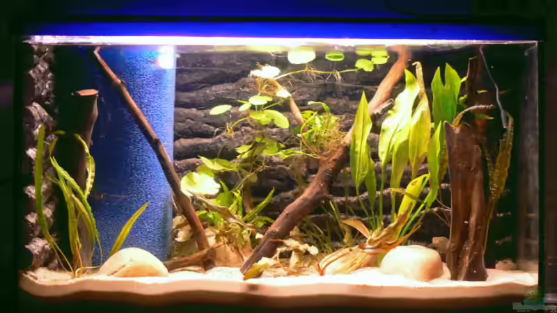 Direkt nach der Einrichtung (21.04) von gruengold (2)