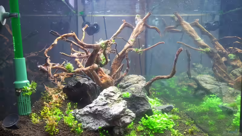 Direkt nach der einrichtung am 16.6.13 von Panamericana85 (6)